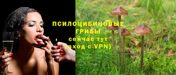 дурь Верхнеуральск