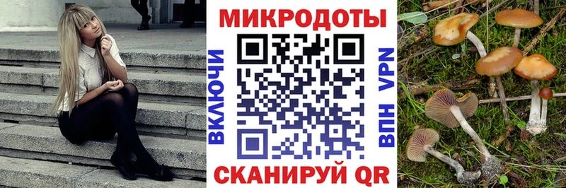 где купить наркотик Наро-Фоминск OMG Псилоцибиновые грибы мухоморы