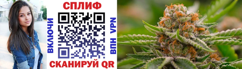 где купить наркотик  Наро-Фоминск  Марихуана White Widow 